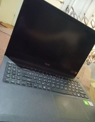 Acer kafolat bor