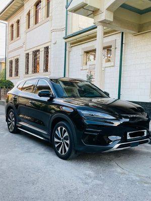 BYD Champion 605km 2023