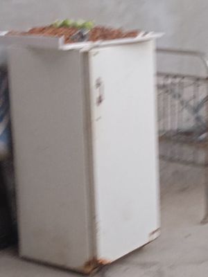 Haladilnik minsk 12