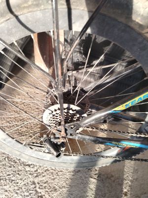 Velosiped sotiladi