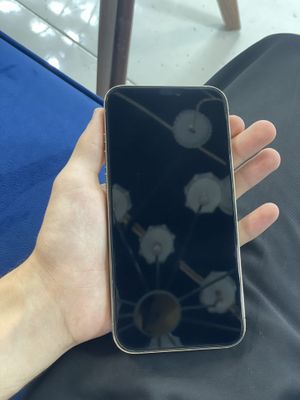 Iphone 12 pro max