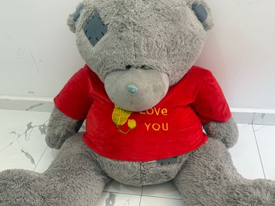 Teddy sotiladi srochna