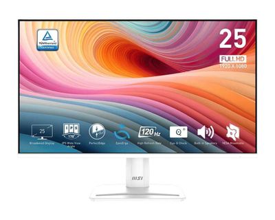 MSI PRO MP251W E2 25-inch Monitor