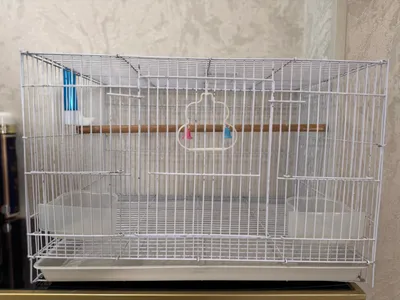 Клетка для попугаев (клетка для переноски и корм)
