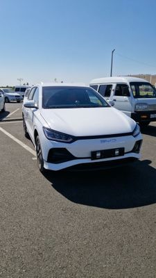 Byd e2 luxury 2024