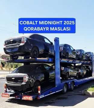 Cobalt midnight 2025 корабайр
