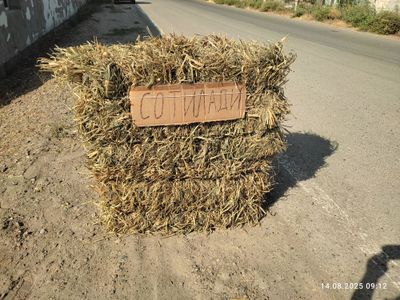 тарик пресс 20000 сум