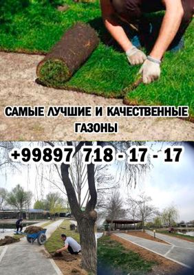 Самые лучшие и качественные газоны