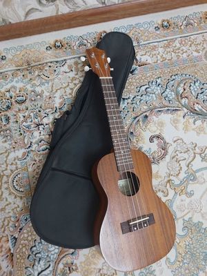 Укулеле Aria ACU-1K