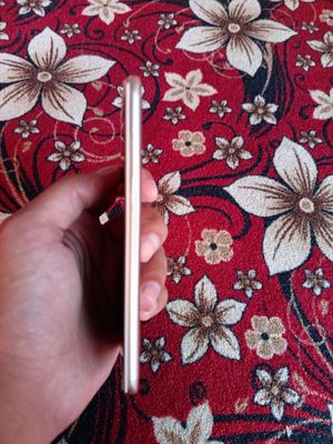 Redmi 5+