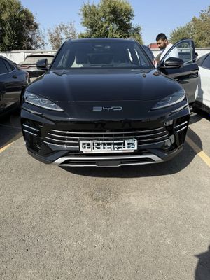BYD Champion 150km Flagship