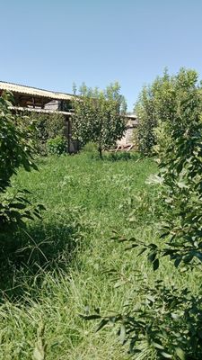 Срочно продается земля под строительство 5 соток Кибрай 5 соток