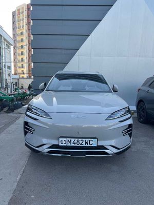 byd chempion 2025 restailing