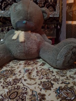 Teddy bear