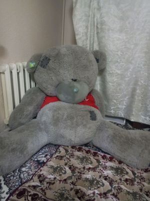 teddy