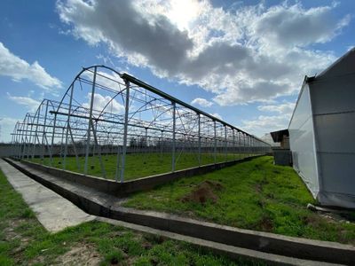Продаётся Эранская теплица 1 гектар Цена 67,000$