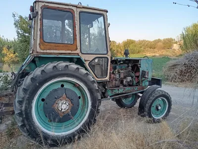 MTZ 80