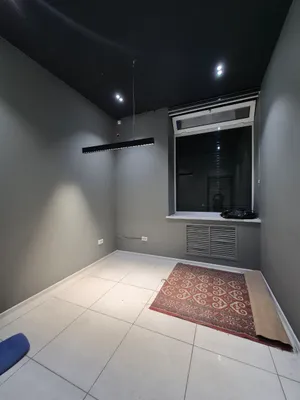 Сдам помещение Парк Бабура