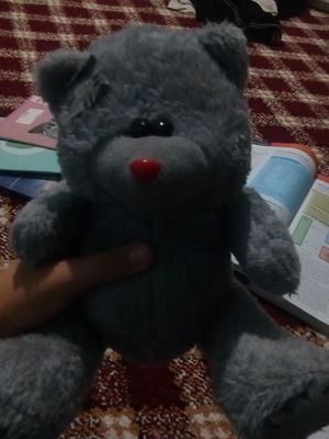 Ayiqcha