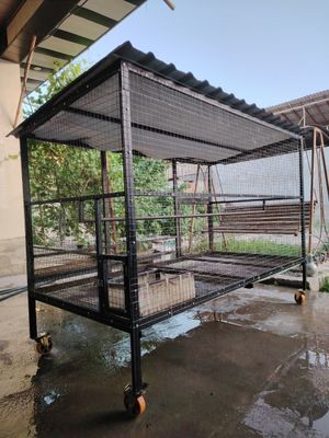 Катак парранда ва хайвонлар учун