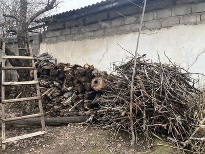 Oʻtin Sotiladi дрова в Ташкент