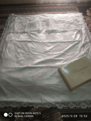 oq pastel sotiladi