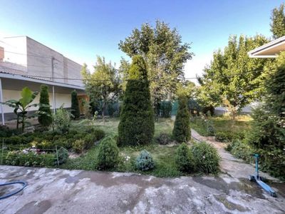 N4536 Mirzo Ulugbek Tumani Salom choyxona 10,7 sotix
