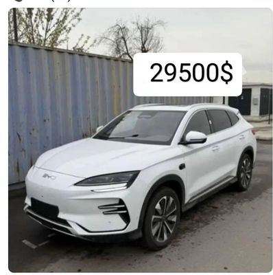 BYD chempioni smart 2025/26