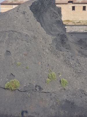 Уголь песок местный Сурхандарья