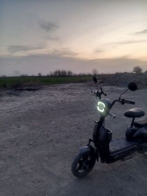 Sukuter elektronik