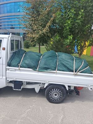 Вывоз мусор 24 час