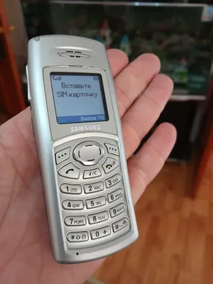 Samsung SGH-C100 для коллекции