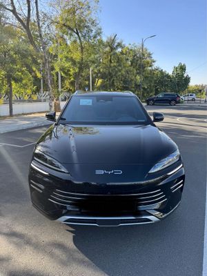 BYD chimpion songplus gibrid