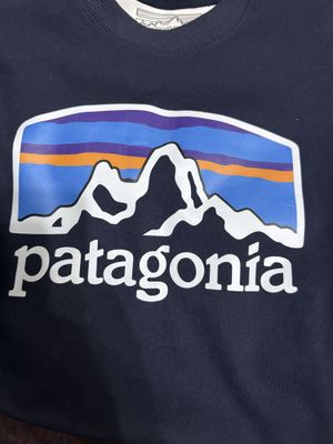 Оригинал мужская свитшот из США -Patagonia