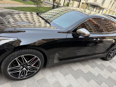 Kia stinger kraska toza