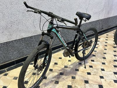 Velosiped Skillmax