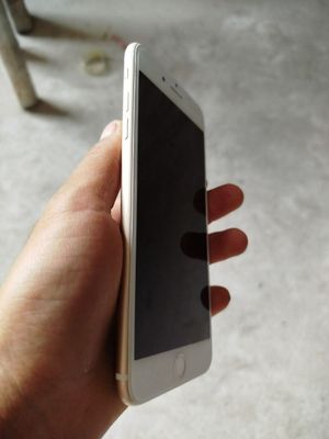 iPhone 7+