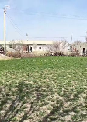 Uchaska uchun yer sotiladi !!!
