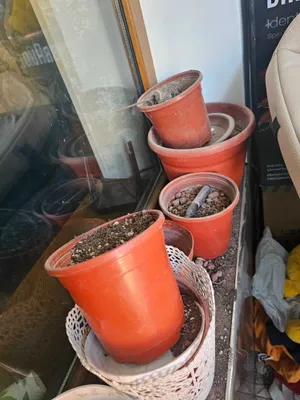 Горшки для цветов б.у.