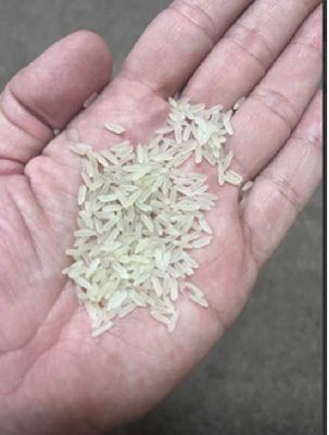 Среднезернистый рис «Тадж Махал» (Rice IRR6), производства Пакистан