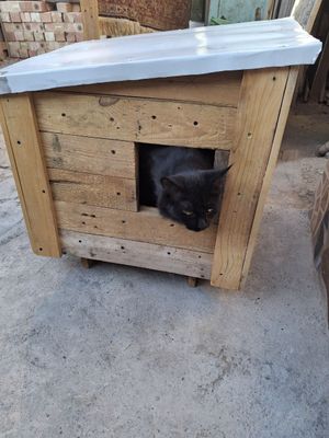 Домики для кошек