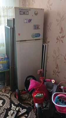 Muzlatgich LG 200$
