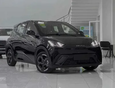 Byd Seagull Rassrochkaga