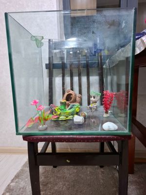 аквариум с полным набором.