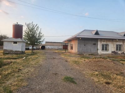 Продается ферма в Джизакской области. г. Пахтакор