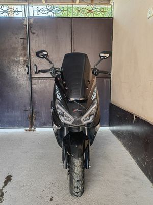 Skuter Tiger 150cm