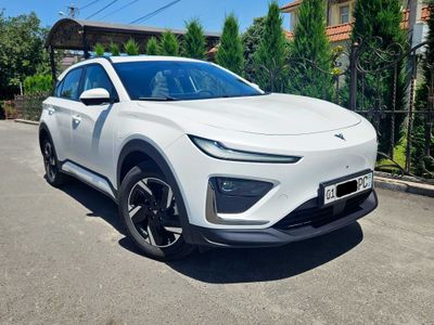 Neta X LITE 501 км