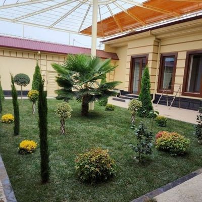 Archa ekish gazon ekish Yetkazib berish xizmatlari Lanshaft dizaner