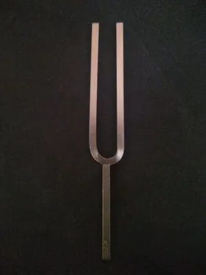 Камертон вилочный. А-880.