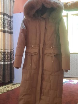Ayollar kurutkasi